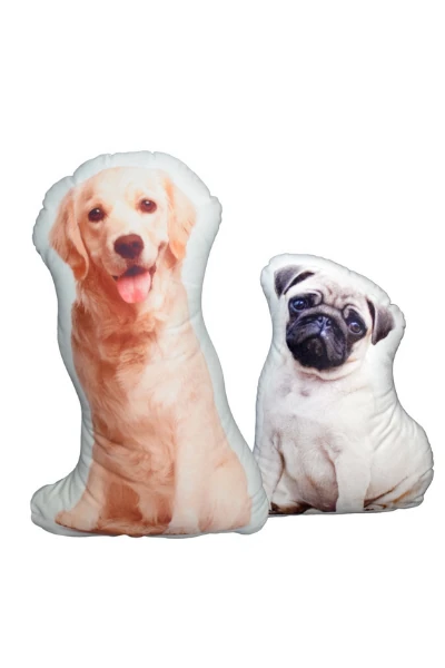 Pet Pillow Case — print-on-demand product photo